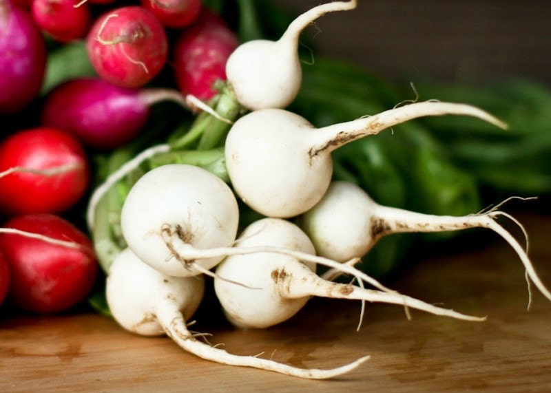 Organic Heirloom 300 Seeds Bulk White Hailstone Radish Radishes Globe Vegetable Garden F42