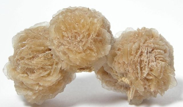 Gypsum Selenite Desert Roses Crystal Cluster Free US Shipping