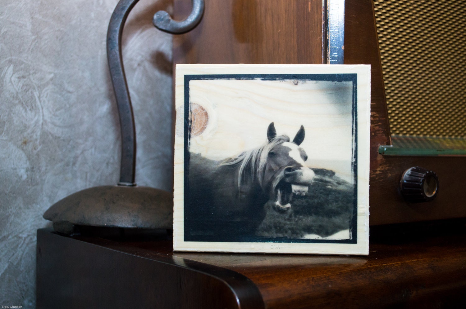 Laughing Horse Image Transfer on Wood Block (6" x 6")