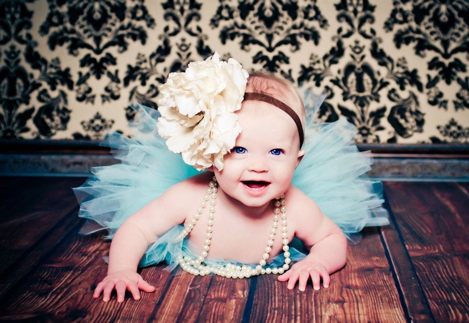 Sky Blue Tutu Set with Matching White Flower Headband Newborn Photography Prop Newborn-5t Tutu Set