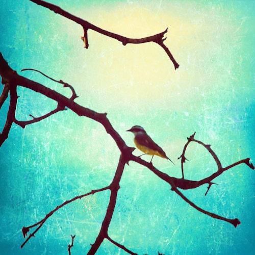 Spring photography, love photography,  Bird photography, bird print, emerald, green, vintage print, sky, turquoise, blue