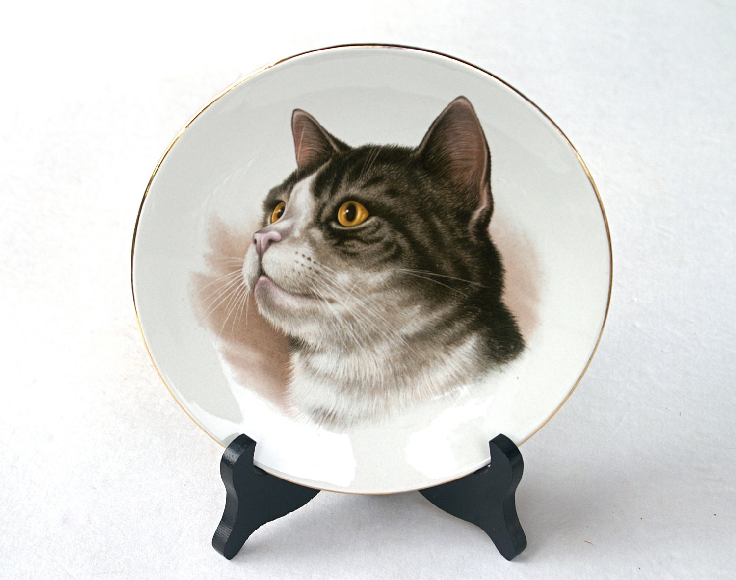 Porcelain Collectible Cat Plate Burleigh Ware Ironstone Made in England
