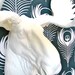 Faux Taxidermy Moose Head Wall Hanging: Max the Moose