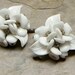 Decorative Pin Up Rockabilly White Flower Bobby Pins