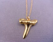 Shark Tooth Necklace - REAL Shark tooth layered in 24k gold - Petit tooth - Gold Fill chain Available in Sterling Silver too