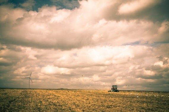Harvest Time, Autumn harvest photograph, Harvester combine, Farming seagulls birds windmill, Autumn sky, yellow orange 8x12 8x10