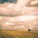 Harvest Time, Autumn harvest photograph, Harvester combine, Farming seagulls birds windmill, Autumn sky, yellow orange 8x12 8x10