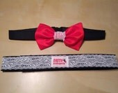 Holiday/Special Occasion Dog Collar - Fitted