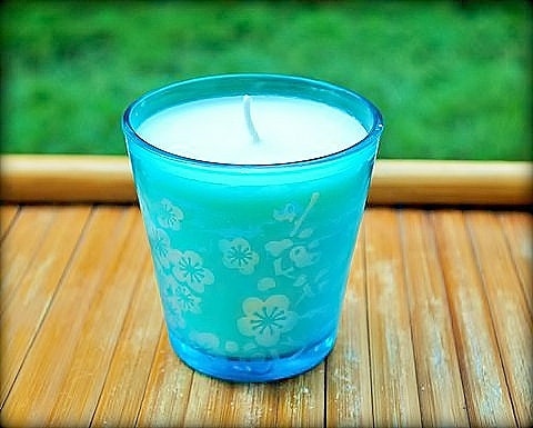 Island Nectar Scented Soy Candle