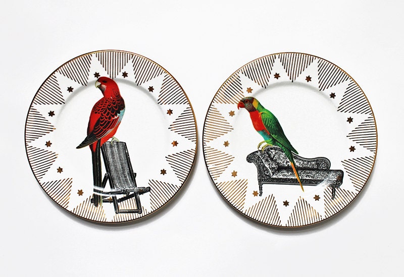 Perching Parrots plates