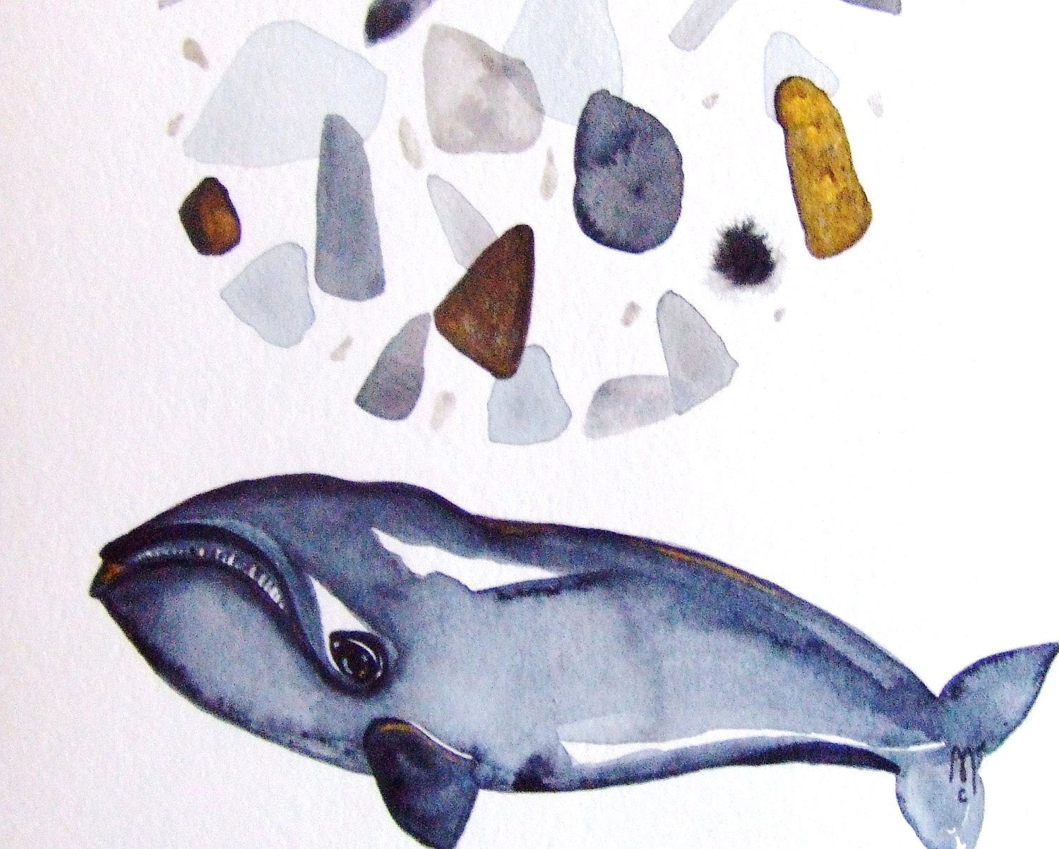 Whale Original Watercolor Painting Ink Fish Painting Animal Nature Water Pebble Stones Contemporary Art Drawing Grey Landscape Fish Decor