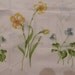Pair of Floral King Springmaid Pillowcases