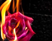 Avant Garde Photography Print, Flaming Rose Photograph, Fire Photo, Unique Art, 8x10