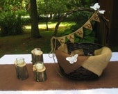 Wedding, Engagement, Shower, Card Basket/Box- with CARDS Burlap Banner with Butterflies, Burlap Wedding, Rustic Basket