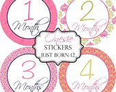 Baby Month Sticker Girls Pink Lime Damask Monthly Baby Onesie Stickers Make Great Baby Shower Gifts..Bonus Just Born Sticker Included