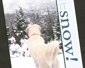 Dog Rescue Holiday Christmas cards - 50% Donation to Great Pyrenees Rescue of Montana (6 cards)