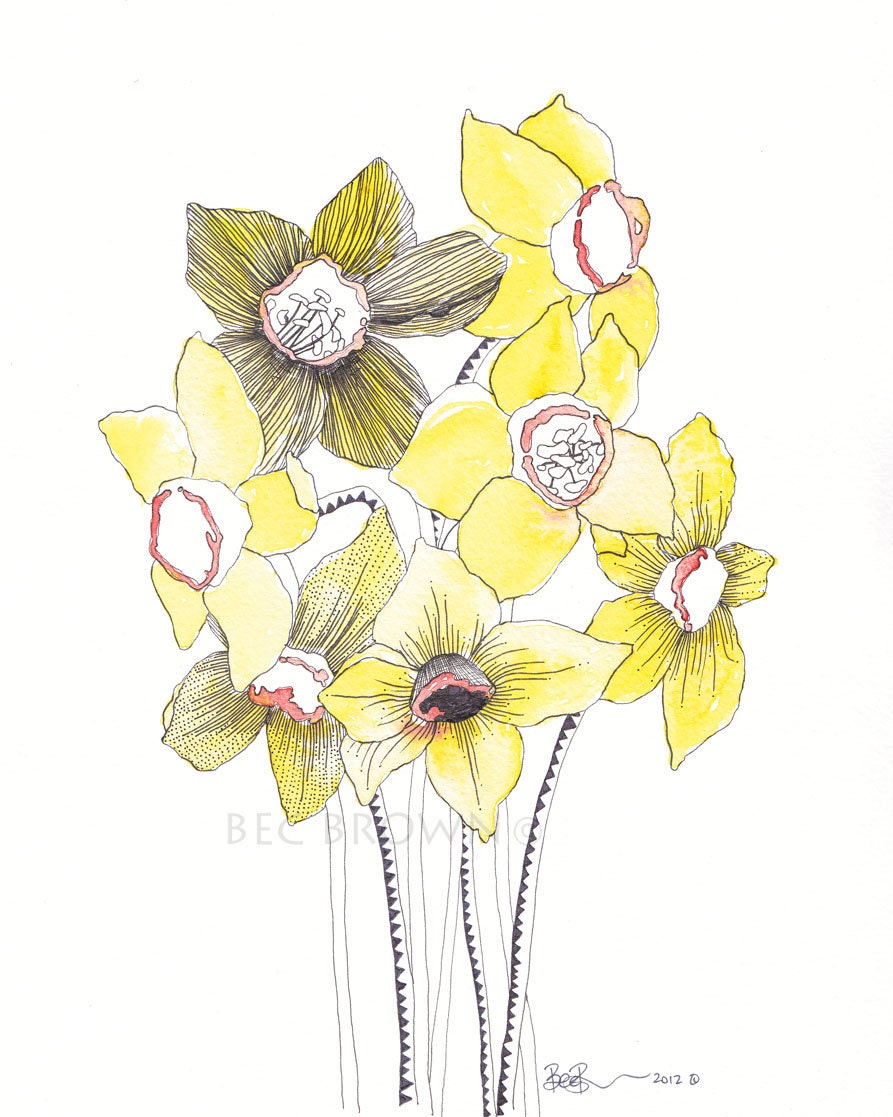Zigzag Daffodil Flower Garden Watercolour Art Drawing 8x10" Print (unframed)