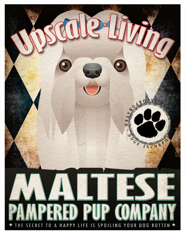 Maltese Pampered Pups Original Art Print - 11x14 - Dog Poster - Dogs Incorporated