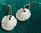 Miniature Sand Dollar Earrings on Sterling or Gold Ear Hooks