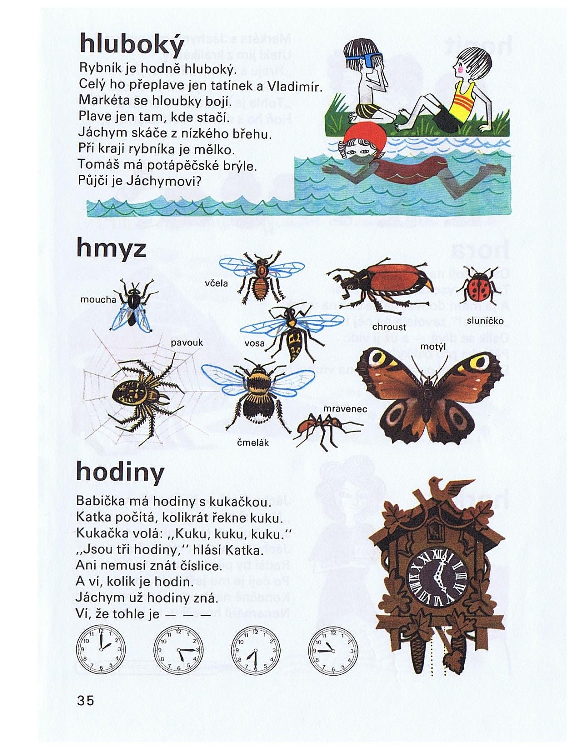 swimming insects