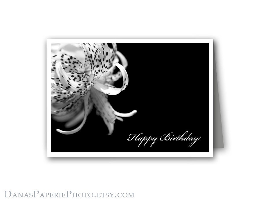 Photography Birthday Cards