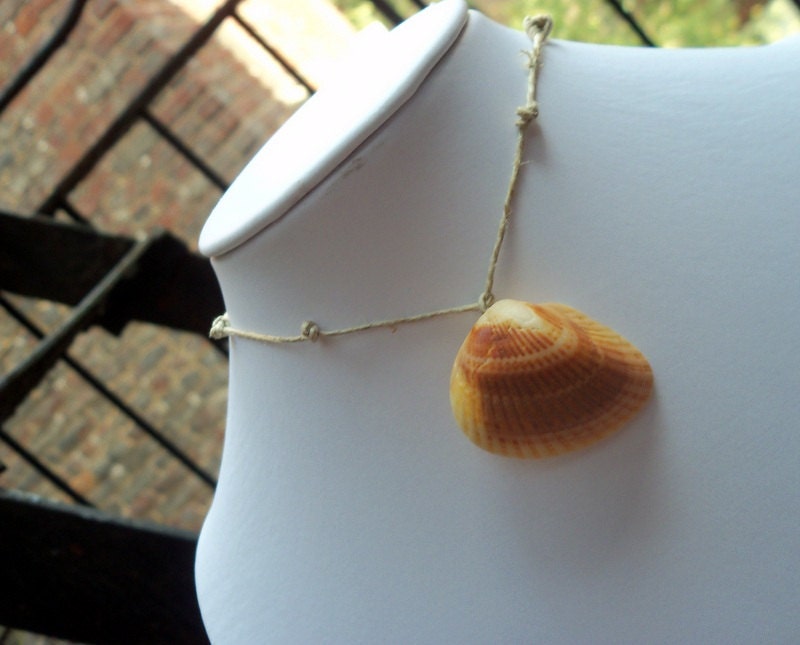 Handmade Hemp Necklace, Hemp Beach Jewelry, Unisex Surfer Seashell Necklace