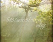 20% SALE - Nature Photographys WACHENHEIM 12x12 Summer lighting sun fog smoke