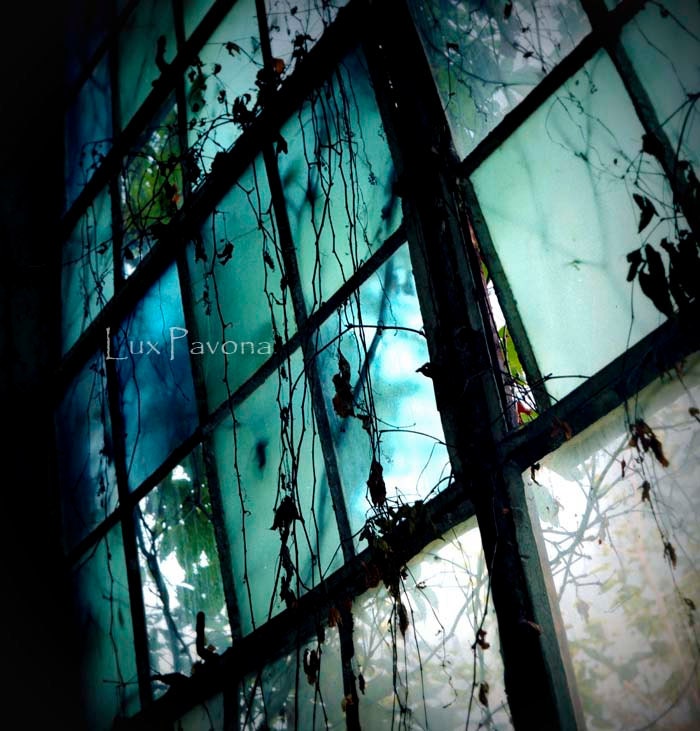 I Dream in Azure - Fine Art Film Photography - Stained Glass, Cool colors, Blue, Green, Vines, Dreamy, Old Mill - LuxPavona