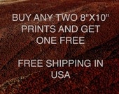 Buy 2 Get 1 Free, Landscape Photography, Fine Art Photography, Nature Photography, Discount Prints Set, Wall Art, Home Decor