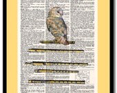 Night Music - Mixed Media, A Handmade mix of design, Vintage Dictionary Page, Acrylic, Ink and more than that, Feelings.