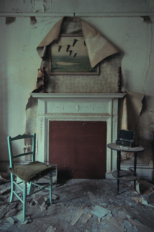 Flock of Geese -  Photographic Print by James Charlick
