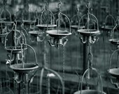 The Cages - Photographic Print by James Charlick