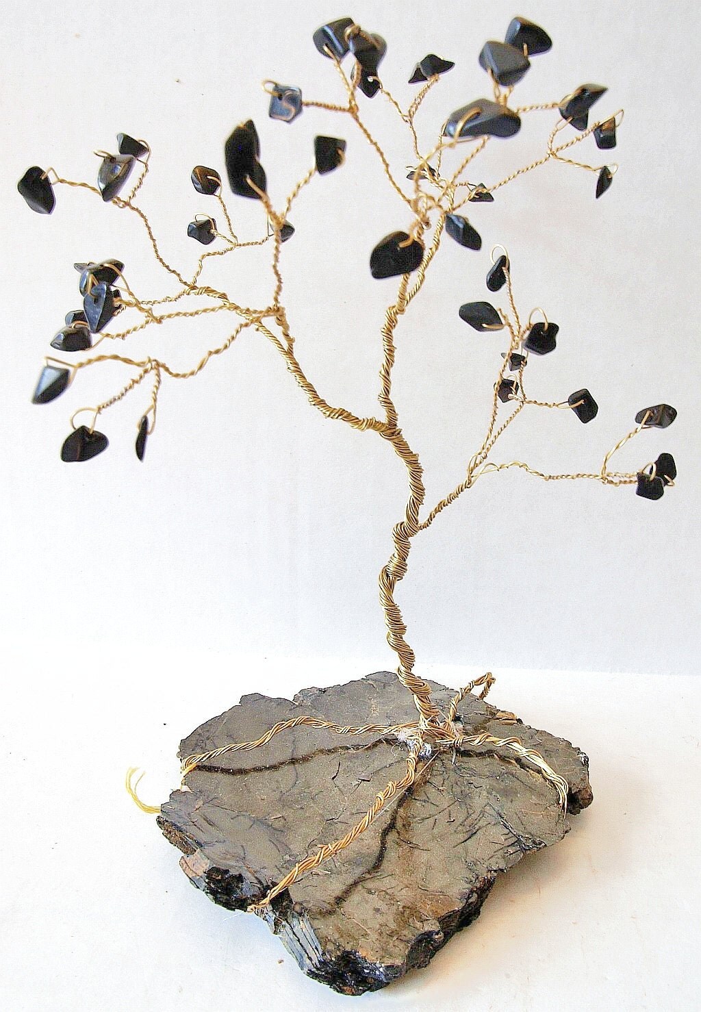 Black Leaf Tree