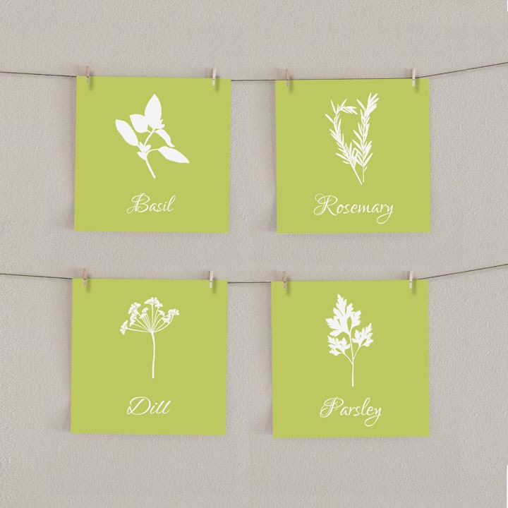 Herbs Kitchen Art Print Set - Parsley, Basil, Dill, Rosemary 5x5 (4)