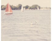swan sail boat photo print - whimsical fine art photography, lake, family, summer, water, orange, blue, bird- 12x12