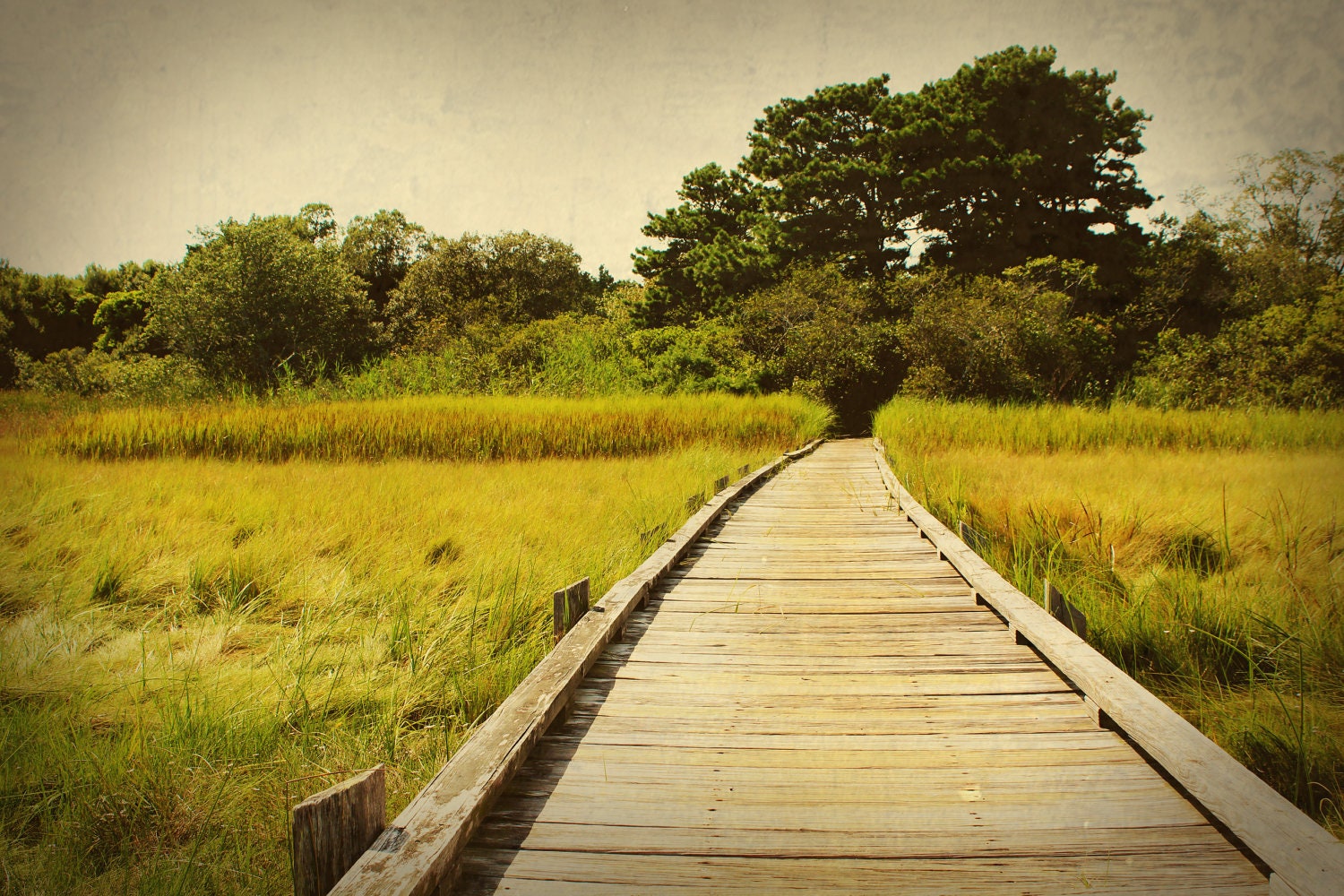 Vintage Martha's Vineyard Boardwalk Photograph, Oak Bluffs, Retro Beach Photo, 8" x 12"