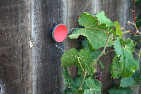 Circle Wall Art for the garden, for holding climbing vines on fences, walls and arbors