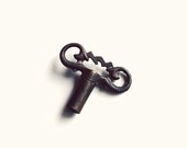 Antique Brass Snakehead Clock Winding Key