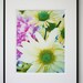 White Daisy Photo, 11x14  Flower Print, Shabby Chic, Girls Decor, Feminine, Affordable Home Decor, Large Wall Art