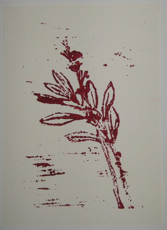 Daphne - Daphne Cneorum - hand-pulled linocut