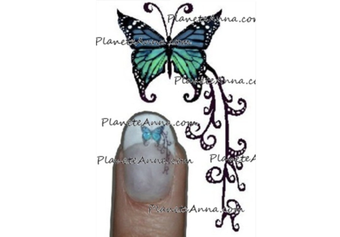 Detailed Butterflies