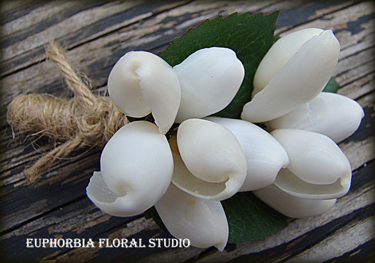 White Boutonniere, Sea Shell, Wedding, Nautical, Beach