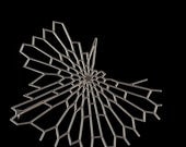 Radiolaria Brooch - stainless steel pin, intricate jewelry organic geometric nature science by Nervous System