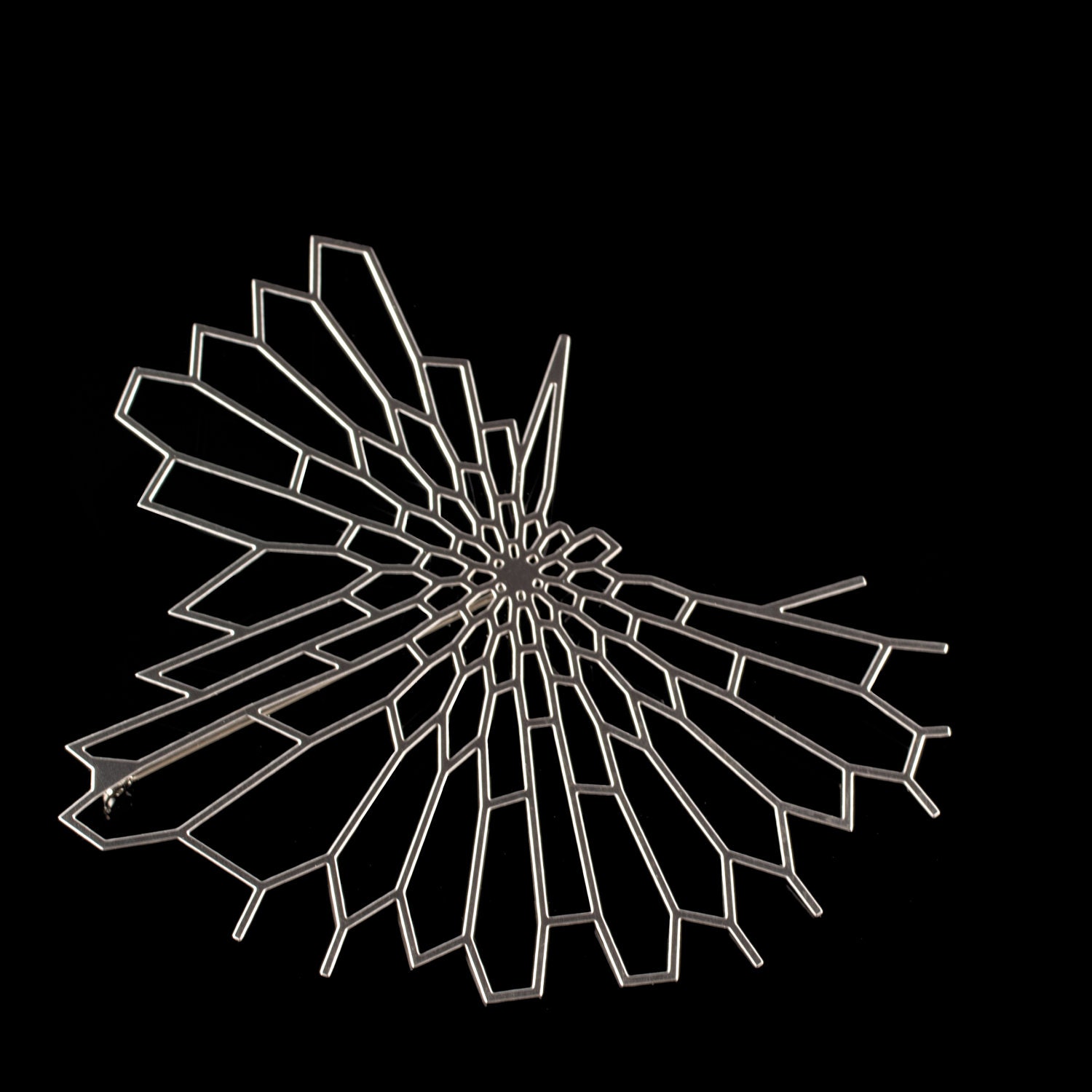 Radiolaria Brooch - stainless steel pin, intricate jewelry organic geometric nature science by Nervous System