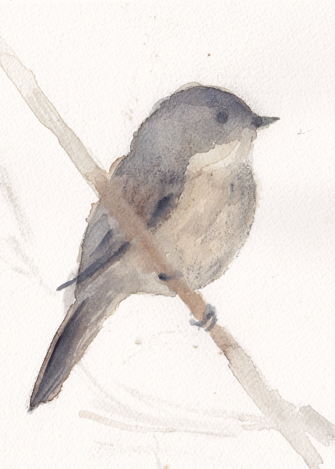 little bird 5x7 print
