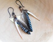 Feather Shell Tribal Earrings Dentalium shells and Eurasian Jay Feathers