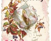 100 Dollar  Vulva Love Lovely Gift Certificate