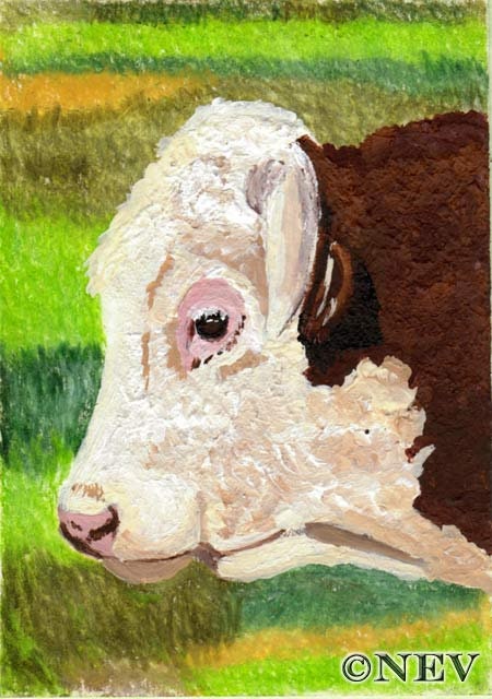 Original Cow Art Hereford Bull Painting Mixed Media ACEO