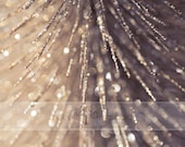 Fine Art Abstract Photograph. Oh Glittery Tree. Sparkle. Warm. Champagne Bokeh. 8x12 Print - HelenMPhotography