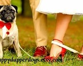 Wedding Suit Dog Bandana Custom Sz XS S M